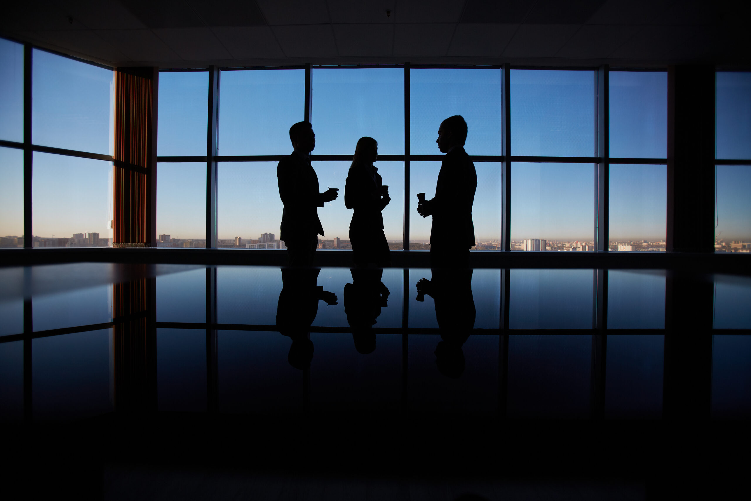 Outlines of group of white collar workers interacting by the window in office